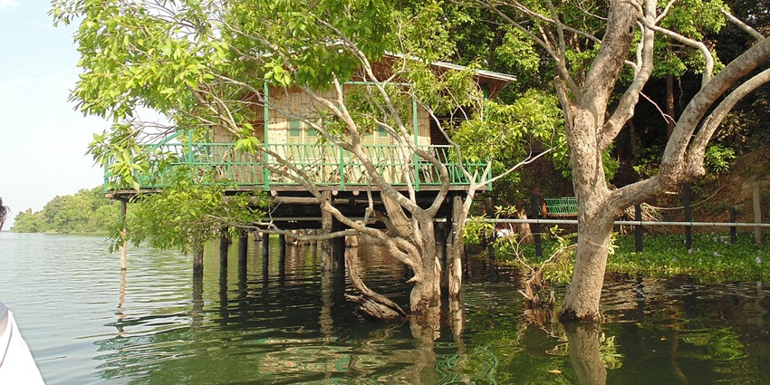Scenic view of the Pilibhit Tiger Reserve, one of the places to visit near Pilibhit Tiger Reserve for nature lovers.