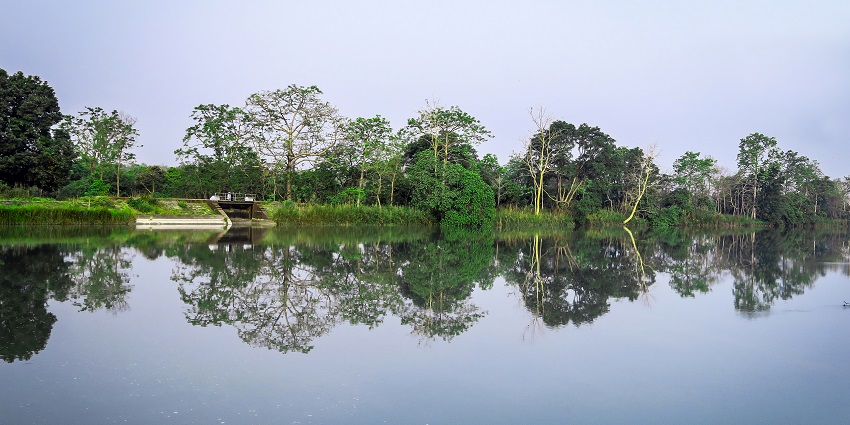 Landscape view of Pilibhit Tiger Reserve, amongst the top national parks near Lucknow.