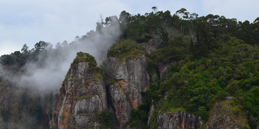 Pillar Rock features towering rocks, a famous place near Kodaikanal Wildlife Sanctuary.