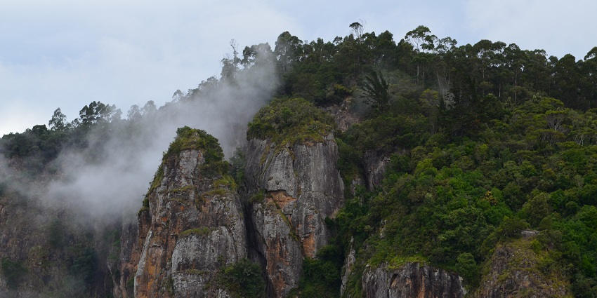 A large rock pillar rises from the ground in Kodaikanal, surrounded by thick greenery and misty hills
