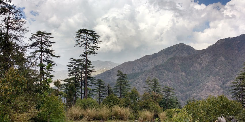 Explore serene pine forests with stunning views on this trekking in Dhanaulti.