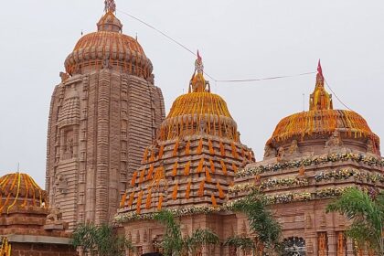 An image of Siddha Siddhanta Yoga Academy - Center Chatri Located in Govardhan.