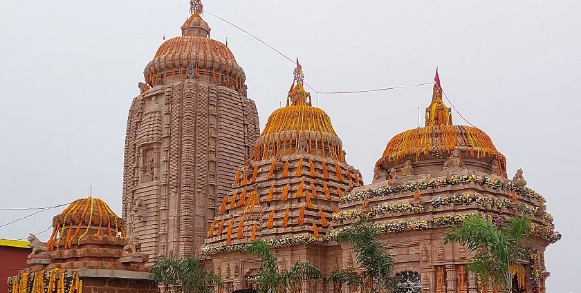 An image of Siddha Siddhanta Yoga Academy - Center Chatri Located in Govardhan.