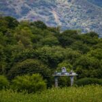 A view of Kodaikanal hils surrounded by lush greenery under a clear blue sky