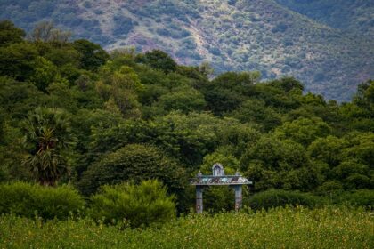 A view of Kodaikanal hils surrounded by lush greenery under a clear blue sky