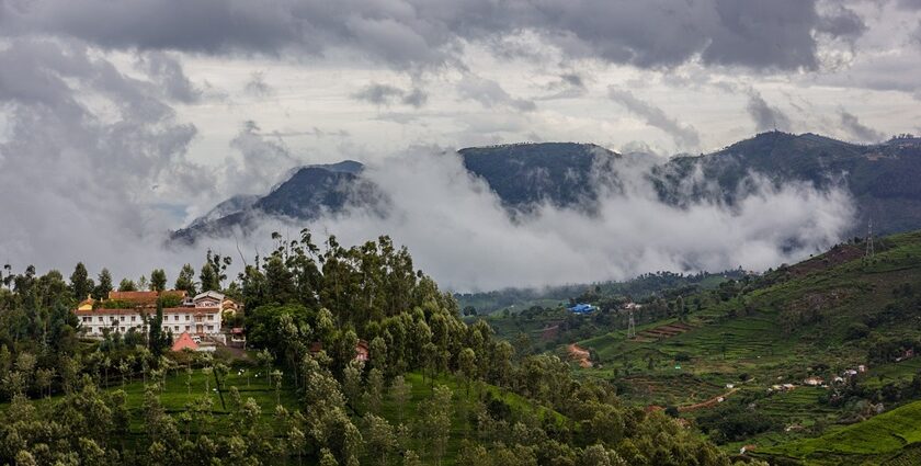 An image of hills, showcasing some of the best places to visit in Masinagudi.