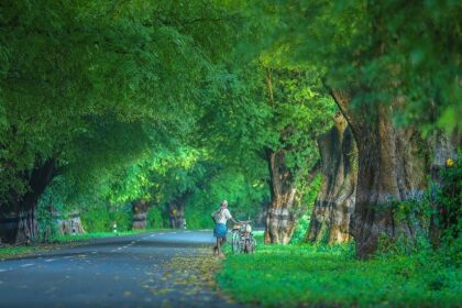 A stunning view of streets of Masinagudi, highlighting one of the best places to visit in Mudumalai