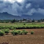 An image of the scenic view of the Nagercoil Town, a popular small town in Tamil Nadu.