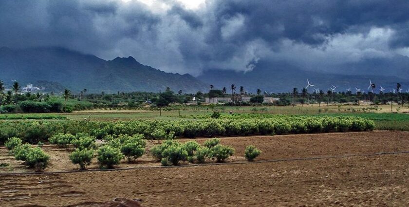 An image of the scenic view of the Nagercoil Town, a popular small town in Tamil Nadu.