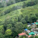 Picturesque view of hills covered with lush green trees - places to visit in North Bengal