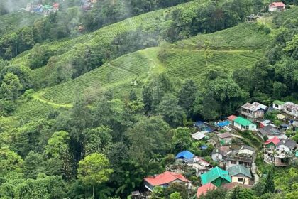 Picturesque view of hills covered with lush green trees - places to visit in North Bengal