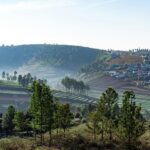 A vast Green Horizons capturing the Beauty of Ooty’s Mountain and step farming.