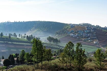 A vast Green Horizons capturing the Beauty of Ooty’s Mountain and step farming.