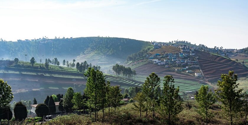 A vast Green Horizons capturing the Beauty of Ooty’s Mountain and step farming.