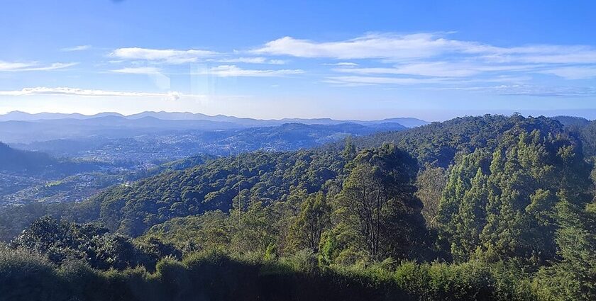 View of Doddabetta peak, one of the picturesque places to visit in Ooty