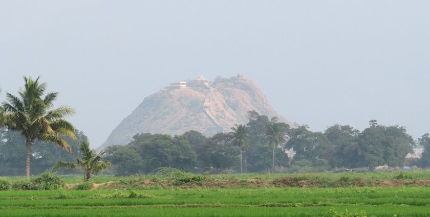 Explore the scenic places to visit in Palani including famous temples and hills.