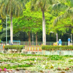 A beautiful, lush garden in Sarasbaug, one of the best places to visit in Pune in the evening.