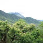 A scenic landscape view Anamalai hills, one of the places to visit in Tamil Nadu in May