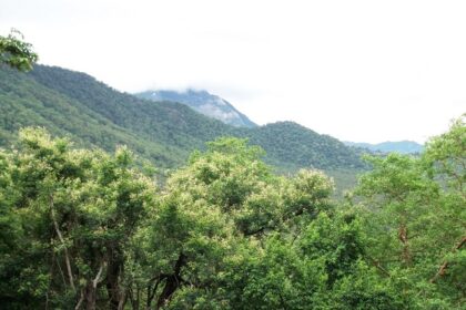 A scenic landscape view Anamalai hills, one of the places to visit in Tamil Nadu in May