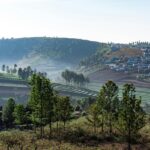 Panoramic view of the city of Ooty, one of the places to visit in Tamil Nadu with family