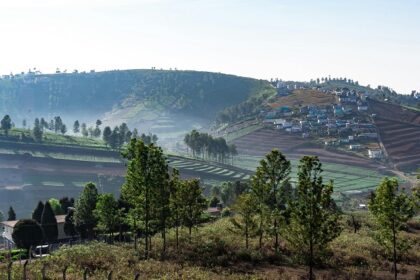 Panoramic view of the city of Ooty, one of the places to visit in Tamil Nadu with family