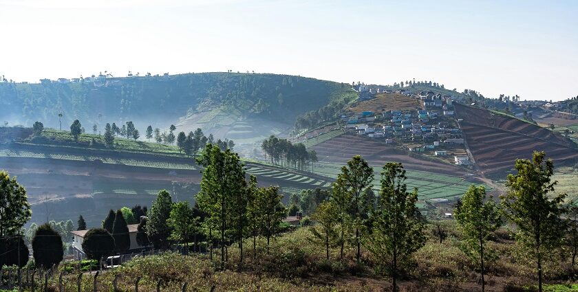 Panoramic view of the city of Ooty, one of the places to visit in Tamil Nadu with family