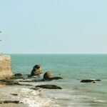 A view of the serene Thiruchendur Beach, one of the places to visit in Thiruchendur.