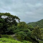 An image of a lush green landscape offering the serenity and tranquillity you need.