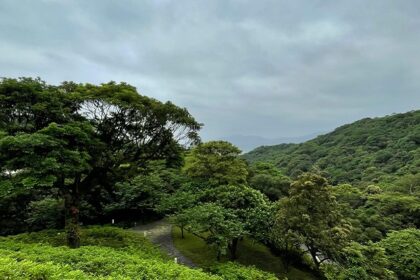 An image of a lush green landscape offering the serenity and tranquillity you need.