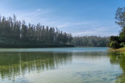 Aerial view of Ooty, Pine tree forest and a lake showcasing greenery and lovely landscapes