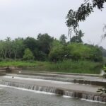 View of the Mahamaham Tank in Kumbakonam with temple towers in the background.