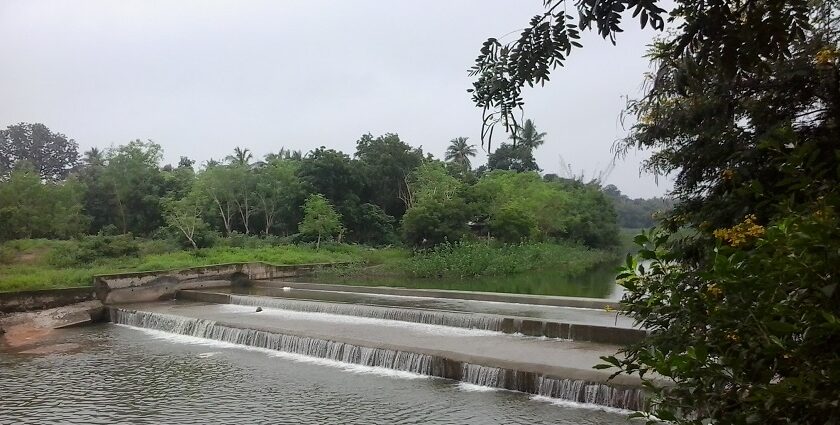 View of the Mahamaham Tank in Kumbakonam with temple towers in the background.