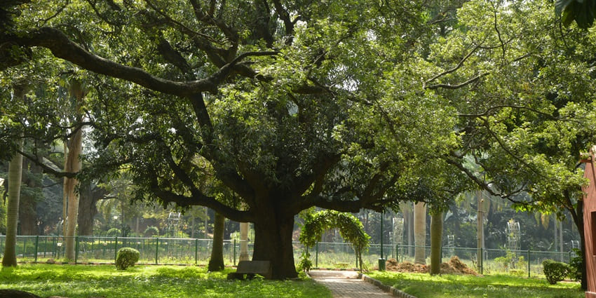 A picnic at Nehru Park is one of the most fun things to do in Gorakhpur with family and friends.
