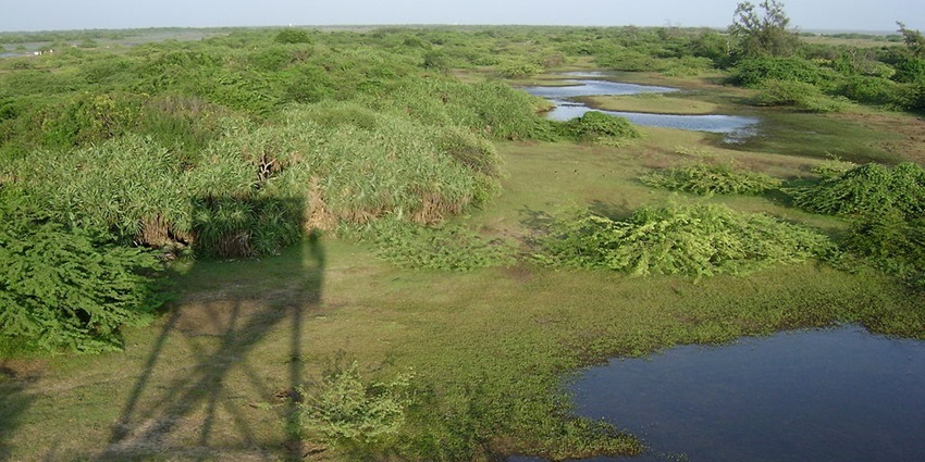 Stone tower at Point Calimere Wildlife and Bird Sanctuary standing on sandy terrain.