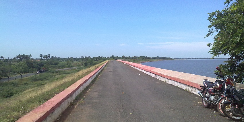 Empty road at Poondi Reservoir with the lake visible behind the surrounding green plants.