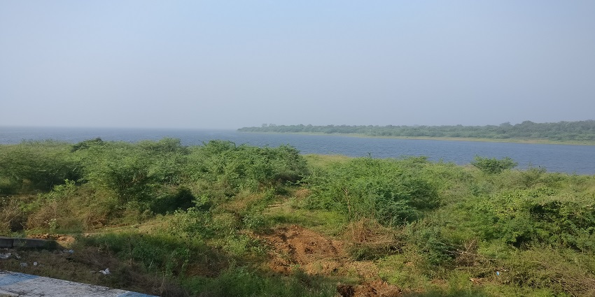 Poondi Reservoir with a large calm waterbody and surrounding greenery under a blue sky