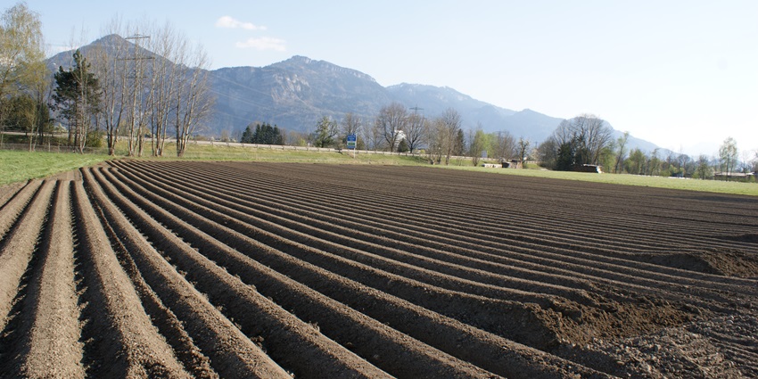 Insightful visit to a working potato farm and learning about potato cultivation.