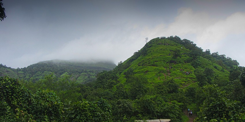 A picture of the lush green surroundings of the Prabalgad Fort, located near the Harihareshwar Temple