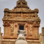 A beautiful temple which is capped with ancient ruins and is in the middle of trees.