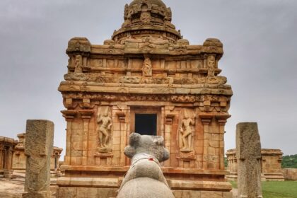 A beautiful temple which is capped with ancient ruins and is in the middle of trees.