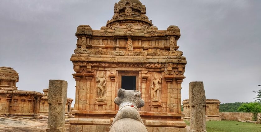 A beautiful temple which is capped with ancient ruins and is in the middle of trees.