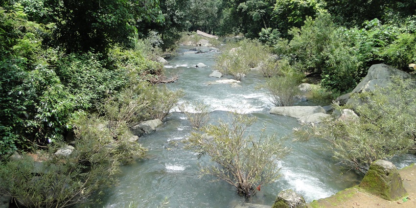 Puliancholai is one of the best places for every nature lover to explore on their trip.