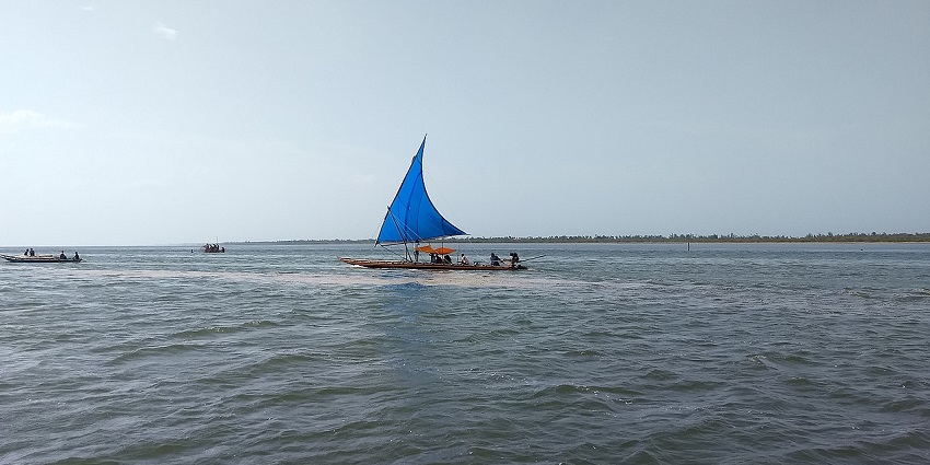 Pulicat Lake, a part of Pulicat Bird Sanctuary, is one of the largest lagoons in the state.
