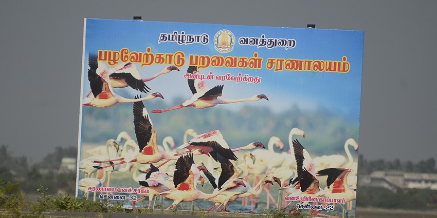 Image of a sign board for Pulicat Lake & Bird Sanctuary - places to visit near wonderland theme park in Chennai