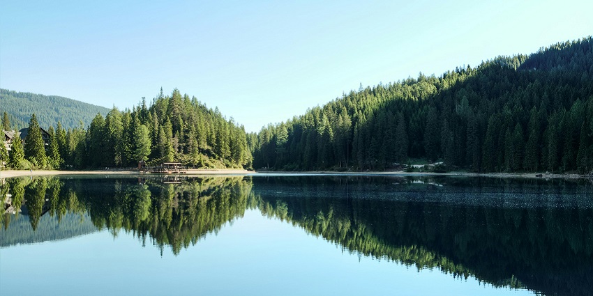 View of a Punganoor lake surrounded by beautiful trees
