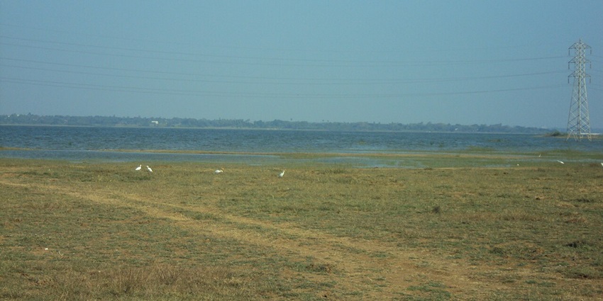 Puzhal Lake with calm waters, a grassy shoreline and an electricity tower.