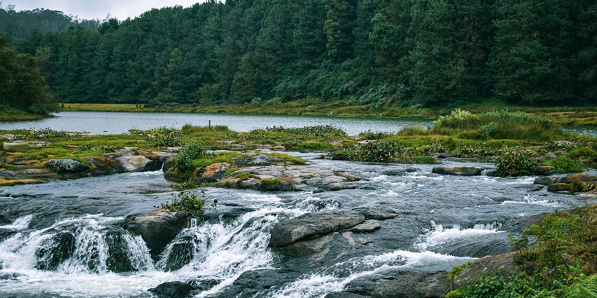Image of Scenic Landscape of Pykara Lake in Ooty, India - places to visit near ooty within 100 kms