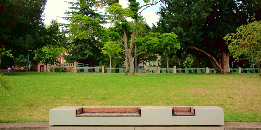 A view of Rabindra Sarani, a charming green space located in North Kolkata, West Bengal.