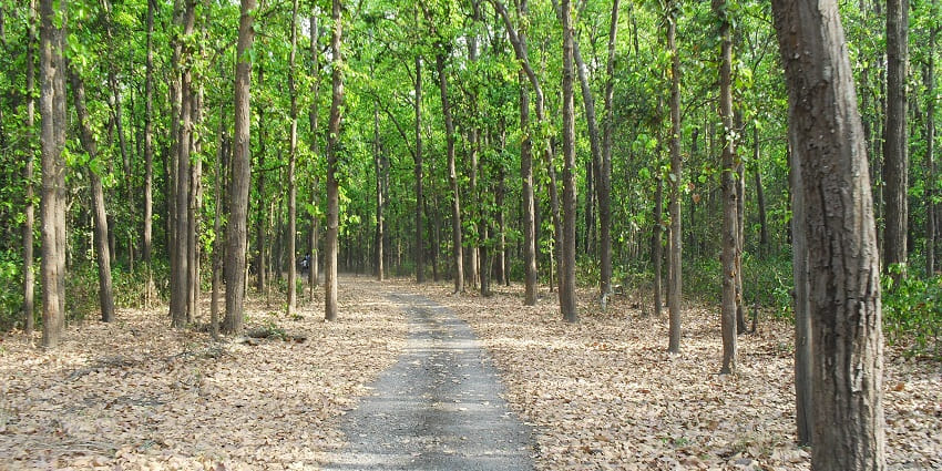 Rajaji National Park is among the famous places to visit near Dehradun