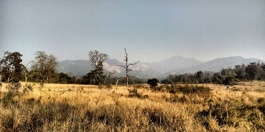 A wildlife haven where nature's wonders unfold, near Fun Valley Dehradun